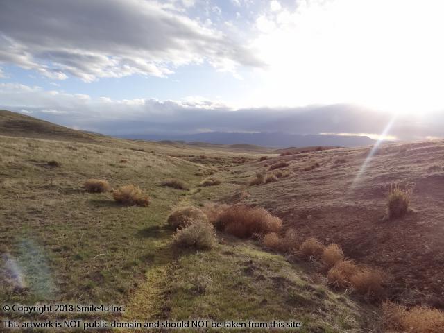 Stunning view to the west along intermittent stream from this 80 acres of land for sale with the Shoshone Mountain Range in the distance.